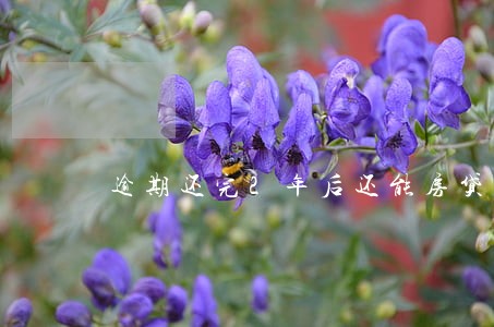 逾期还完2年后还能房贷吗 逾期还完2年后还能房贷吗