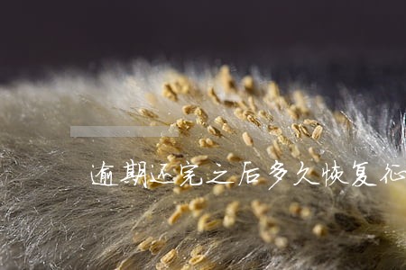 逾期还完之后多久恢复征信 逾期还完之后多久恢复征信