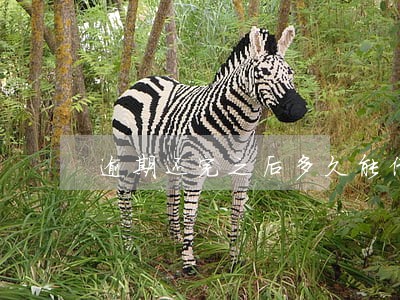 逾期还完之后多久能借钱 逾期还完之后多久能借钱