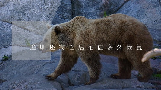 逾期还完之后征信多久恢复