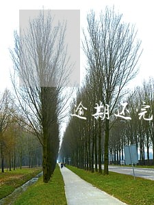 逾期还完之后要注销卡吗 逾期还完之后要注销卡吗