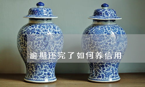 逾期还完了如何养信用 逾期还完了如何养信用