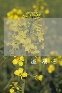 逾期还完了怎么还有短信