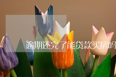 逾期还完了能贷款买房吗 逾期还完了能贷款买房吗