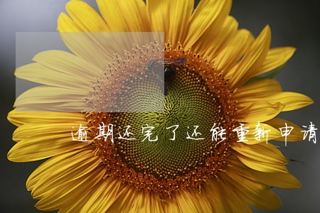 逾期还完了还能重新申请开卡吗 逾期还完了还能重新申请开卡吗
