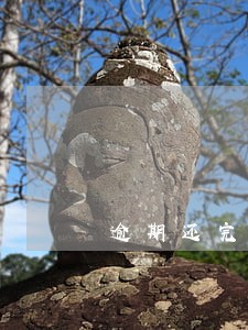逾期还完五年后买房有影响吗 逾期还完五年后买房有影响吗