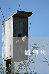 逾期还完什么时候可以销户 逾期还完什么时候可以销户