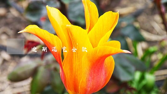 逾期还完全款 逾期还完全款