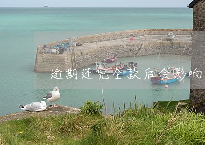 逾期还完全款后会影响网购吗 逾期还完全款后会影响网购吗