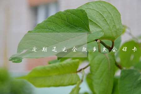 逾期还完全款多久会销卡 逾期还完全款多久会销卡