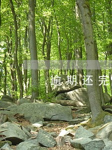 逾期还完后影响房贷 逾期还完后影响房贷