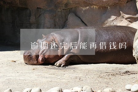逾期还完后能再借钱吗 逾期还完后能再借钱吗
