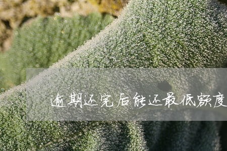 逾期还完后能还最低额度吗6 逾期还完后能还最低额度吗6