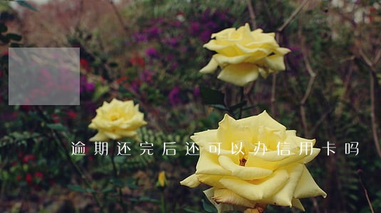 逾期还完后还可以办信用卡吗 逾期还完后还可以办信用卡吗