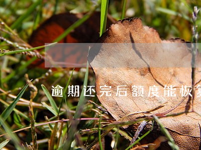 逾期还完后额度能恢复吗 逾期还完后额度能恢复吗