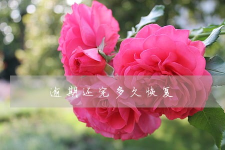 逾期还完多久恢复 逾期还完多久恢复