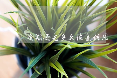 逾期还完多久恢复信用 逾期还完多久恢复信用
