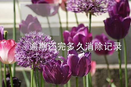 逾期还完多久消除记录 逾期还完多久消除记录