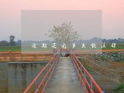 逾期还完多久能注销 逾期还完多久能注销