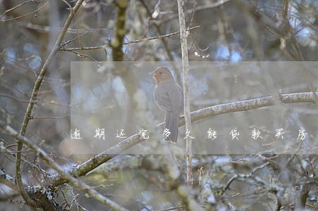 逾期还完多久能贷款买房 逾期还完多久能贷款买房