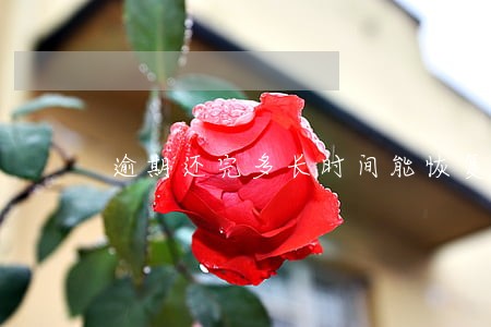逾期还完多长时间能恢复 逾期还完多长时间能恢复