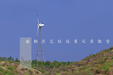 逾期还完征信有记录能贷款吗 逾期还完征信有记录能贷款吗