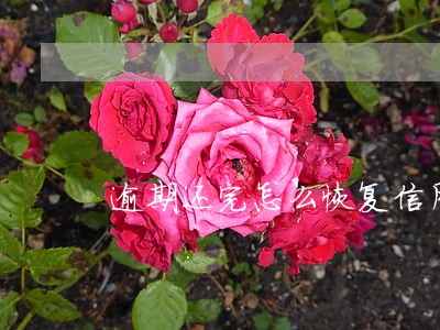 逾期还完怎么恢复信用