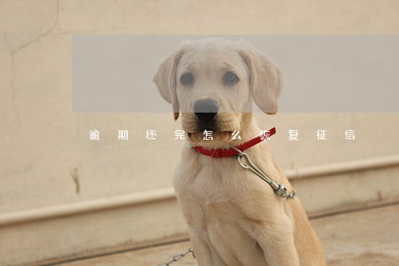 逾期还完怎么恢复征信 逾期还完怎么恢复征信