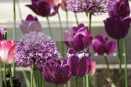 逾期还完怎么申请信用卡 逾期还完怎么申请信用卡