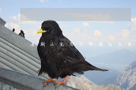 逾期还完怎么申请白名单 逾期还完怎么申请白名单