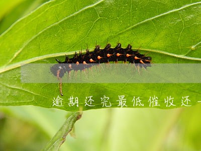 逾期还完最低催收还一直打电话 逾期还完最低催收还一直打电话