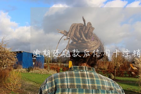 逾期还完款后信用卡注销了 逾期还完款后信用卡注销了