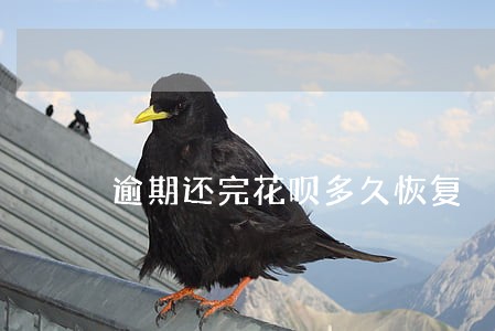 逾期还完花呗多久恢复 逾期还完花呗多久恢复