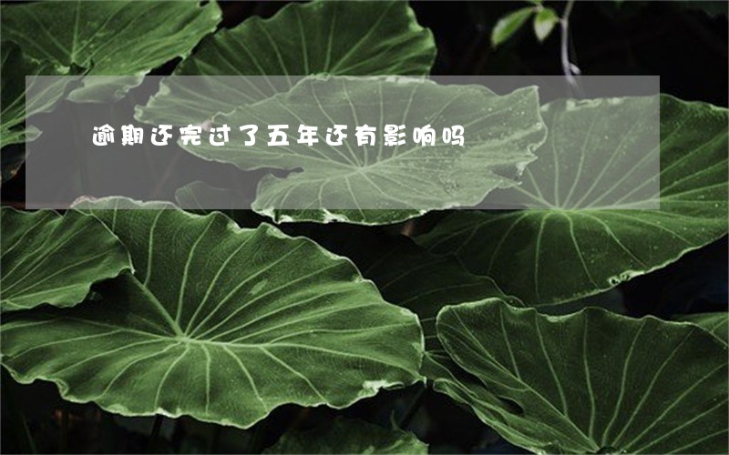 逾期还完过了五年还有影响吗 逾期还完过了五年还有影响吗