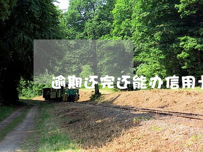 逾期还完还能办信用卡了么 逾期还完还能办信用卡了么
