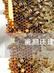 逾期还建安置工作方案 逾期还建安置工作方案