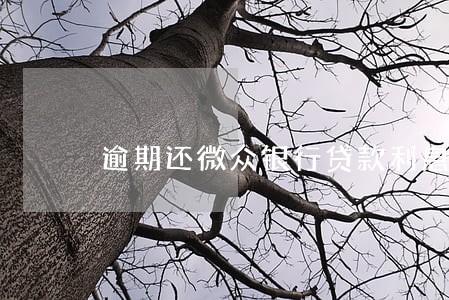 逾期还微众银行贷款利息 逾期还微众银行贷款利息