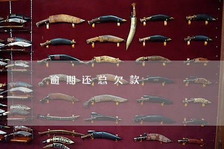逾期还总欠款 逾期还总欠款