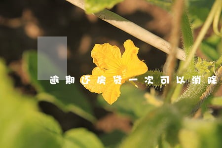 逾期还房贷一次可以消除吗 逾期还房贷一次可以消除吗