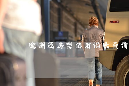 逾期还房贷信用记录查询