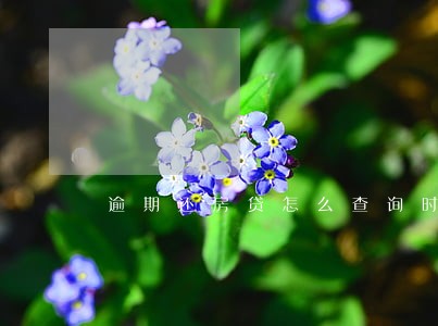 逾期还房贷怎么查询时间 逾期还房贷怎么查询时间