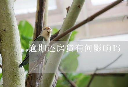 逾期还房贷有何影响吗 逾期还房贷有何影响吗