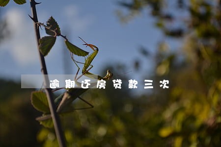 逾期还房贷款三次 逾期还房贷款三次