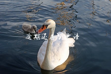 逾期还房贷申请