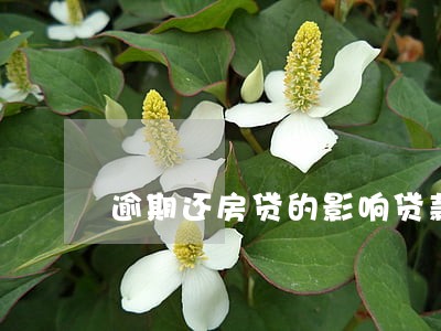 逾期还房贷的影响贷款吗 逾期还房贷的影响贷款吗