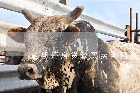 逾期还房贷致买卖合同被解除 逾期还房贷致买卖合同被解除