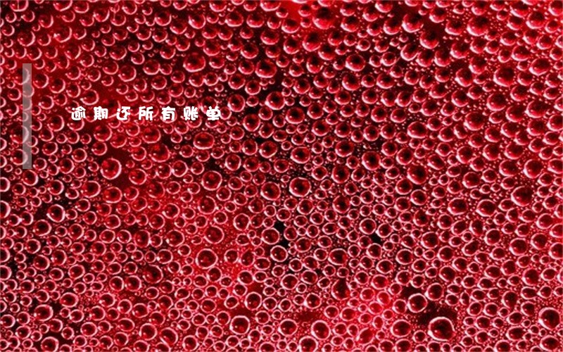 逾期还所有账单