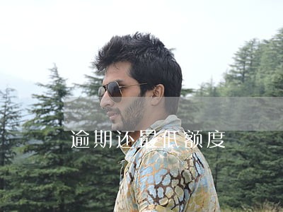 逾期还最低额度