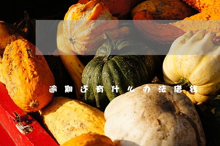 逾期还有什么办法借钱 逾期还有什么办法借钱