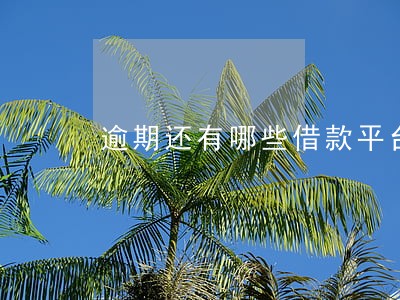 逾期还有哪些借款平台 逾期还有哪些借款平台